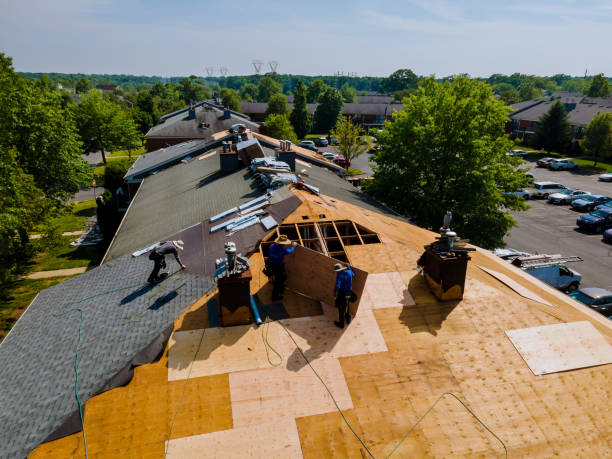 Gutter Installation and Roofing in Buckhorn, CA